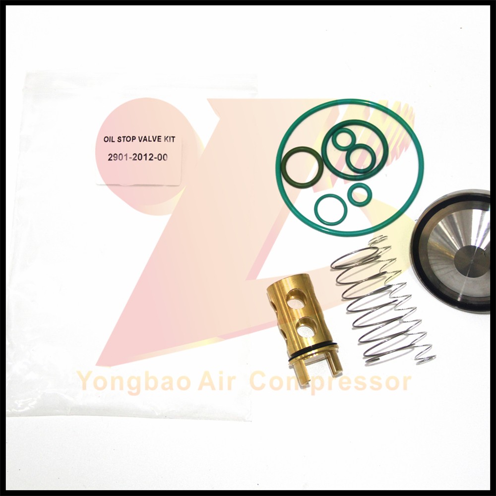 Air Compressor Check valve Oil Stop Valve Kit 2901201200 for Atlas Copco