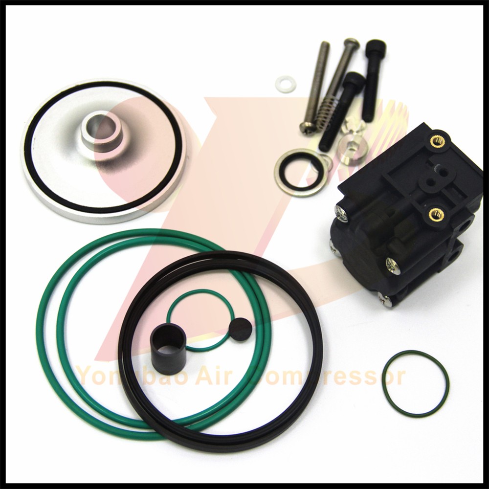 Wholesale Price Special Air Compressor Intake Valve Repair Kit 2902016100